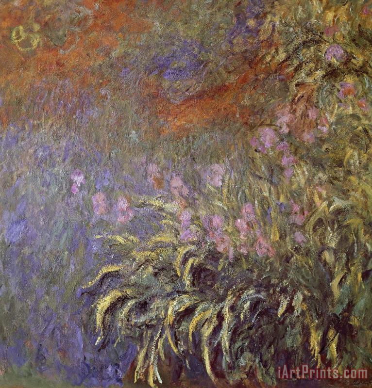 Claude Monet Iris In Pond Art Print