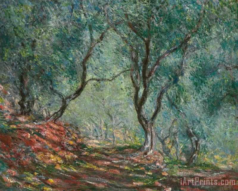 Olive Trees in the Moreno Garden painting - Claude Monet Olive Trees in the Moreno Garden Art Print