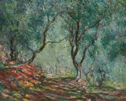 Claude Monet Olive Trees in the Moreno Garden painting