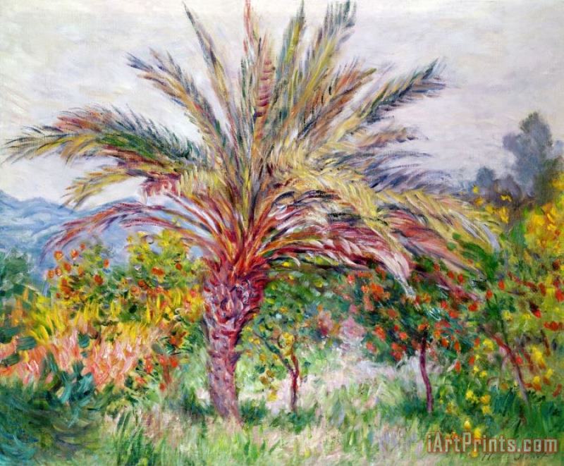 Claude Monet Palm Tree at Bordighera Art Painting