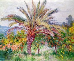 Claude Monet Palm Tree at Bordighera painting