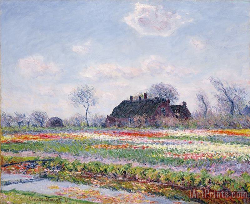 Tulip Fields at Sassenheim painting - Claude Monet Tulip Fields at Sassenheim Art Print