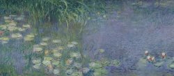 Claude Monet Waterlilies Morning painting