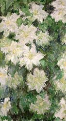 Claude Monet White Clematis