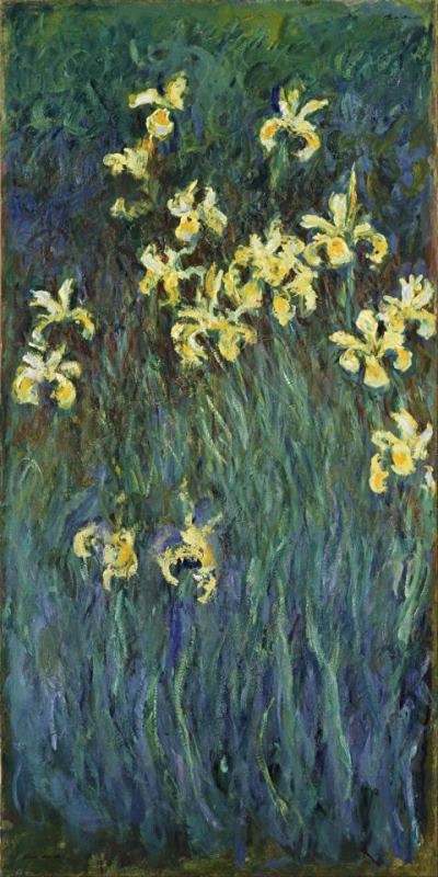 Yellow Irises painting - Claude Monet Yellow Irises Art Print
