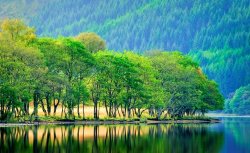 Collection Backlit waters edge on Loch Chon Trossachs painting