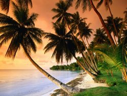 Collection Blue Lagoon Resort Beach Weno Centre Micronesia painting