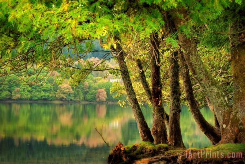 Collection Early Fall on loch Ard Art Print