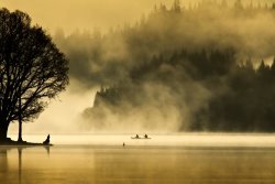 Collection Early morning Loch Ard painting