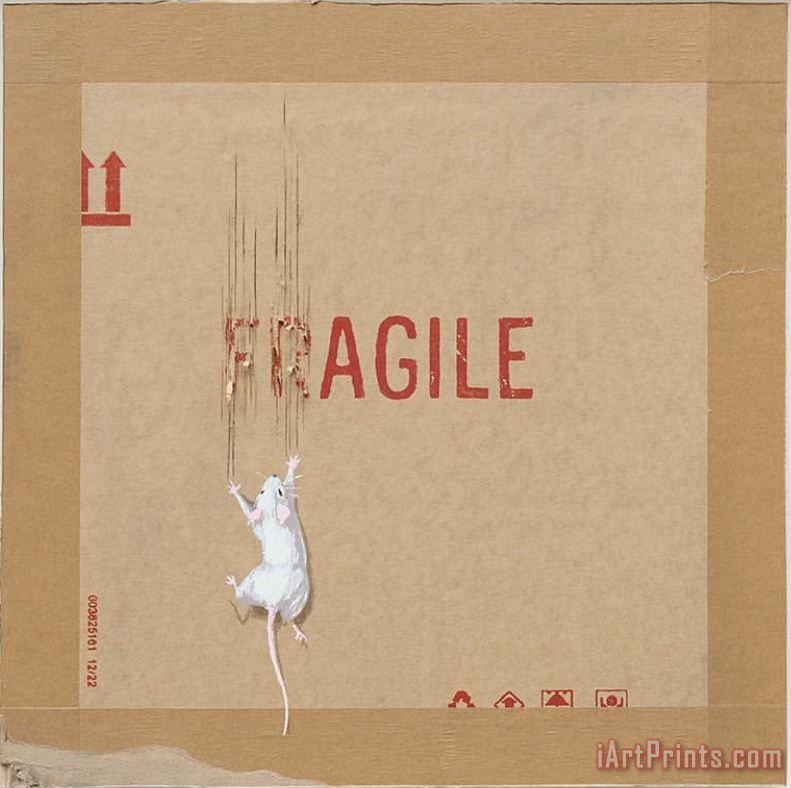 Collection Fragile Art Painting
