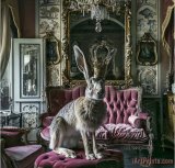 Art Printed on canvas by machine