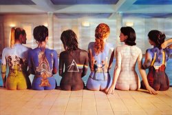 Collection Pink Floyd Back Catalogue