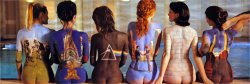 Collection Pink Floyd Back Covers