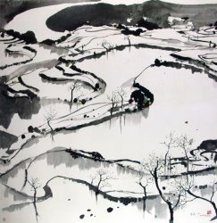 Collection Rice Paddies