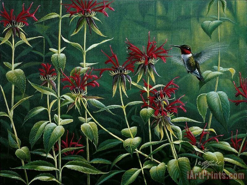 Wilhelm Goebel Hummingbird painting - Collection Wilhelm Goebel Hummingbird Art Print