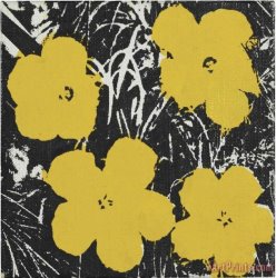 Collection Yellow Flowers