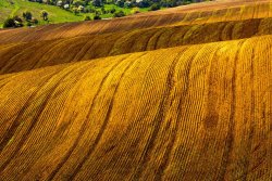 Collection 12 Awry Land