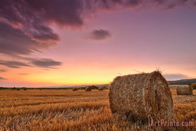 Collection 12 Bales At Twilight Art Print
