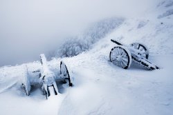Collection 12 Canons