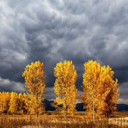 Collection 12 Light And Darkness