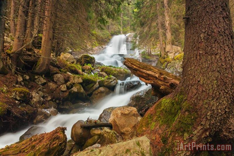 Collection 12 Spring Waterfall Art Print