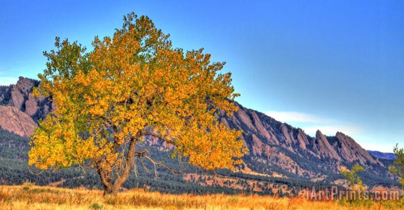 Fall in the Flatirons painting - Collection 14 Fall in the Flatirons Art Print