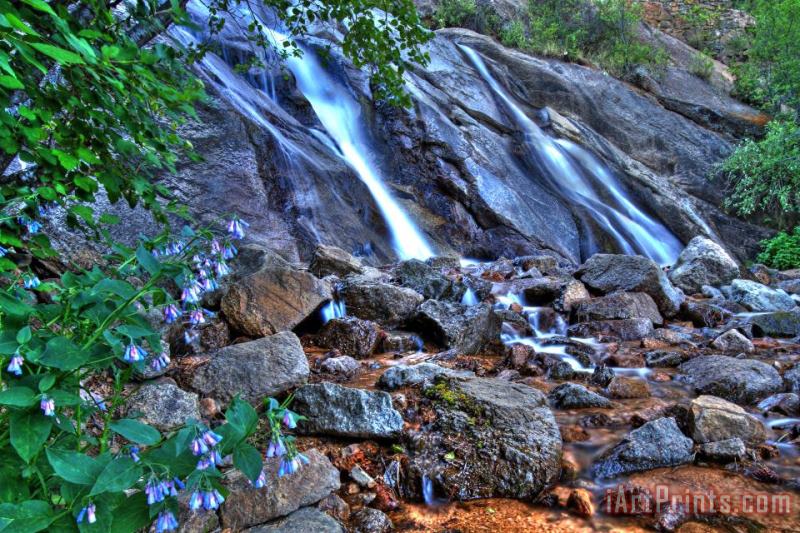 Collection 14 Falls and Wildflowers Art Print