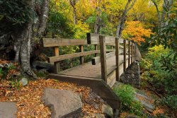 Collection 3 Footbridge Blue Ridge Mountains