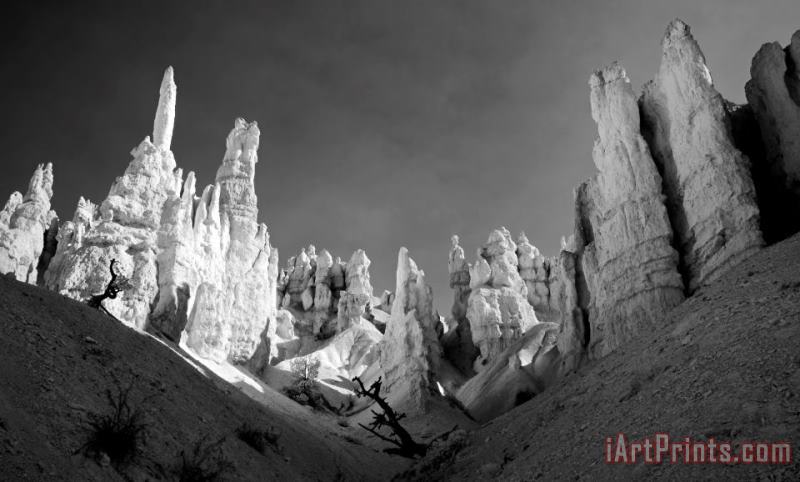 Bryce Canyon Infrared painting - Collection 6 Bryce Canyon Infrared Art Print