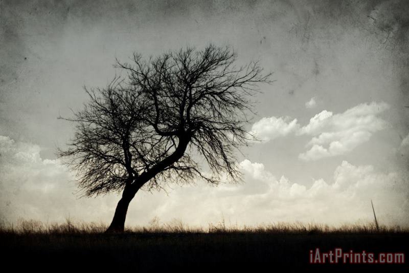 Lone Tree painting - Collection 6 Lone Tree Art Print