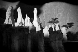 Collection 6 Shadowland