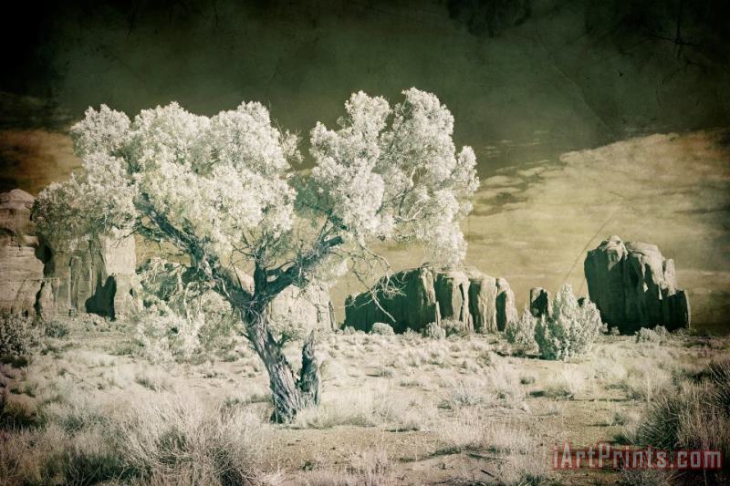 Collection 6 Vintage Monument Valley Desert Art Print