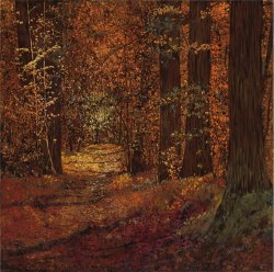 Collection 7 Autunno Nei Boschi painting