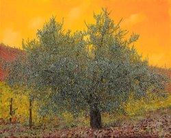 Collection 7 L'ulivo Tra Le Vigne painting