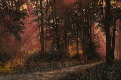 Collection 7 Luci Nel Bosco painting