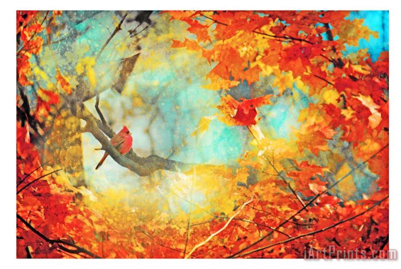 Autumn Cardinal painting - Collection 8 Autumn Cardinal Art Print