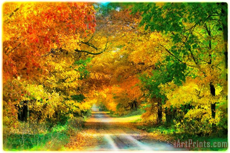 Collection 8 Autumn country lane Art Painting