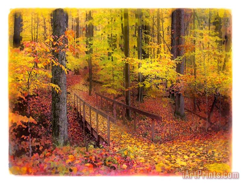 Collection 8 Autumn footbridge Art Print