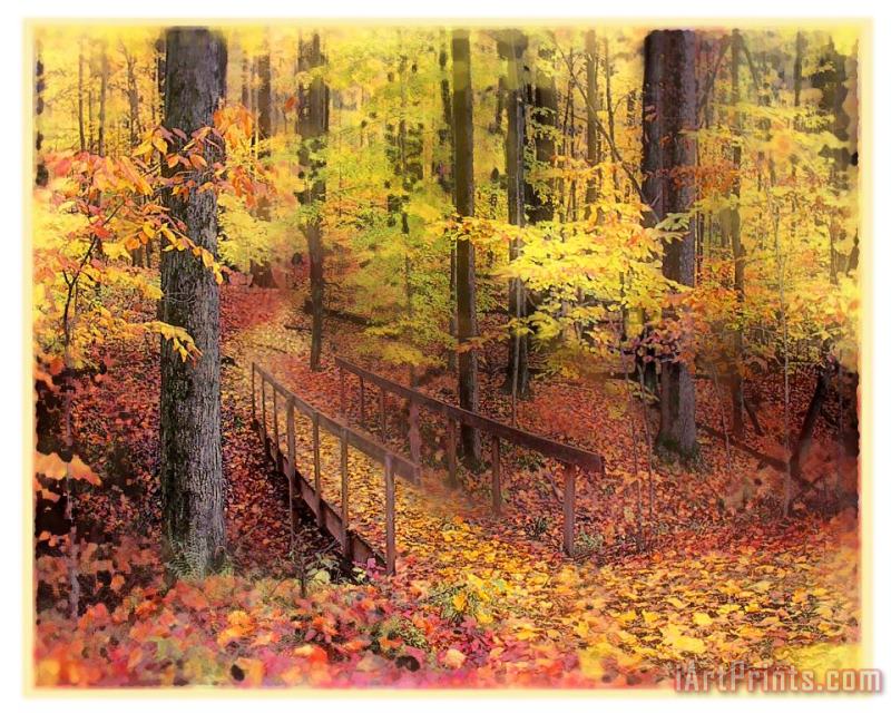Collection 8 Autumn footbridge Art Print