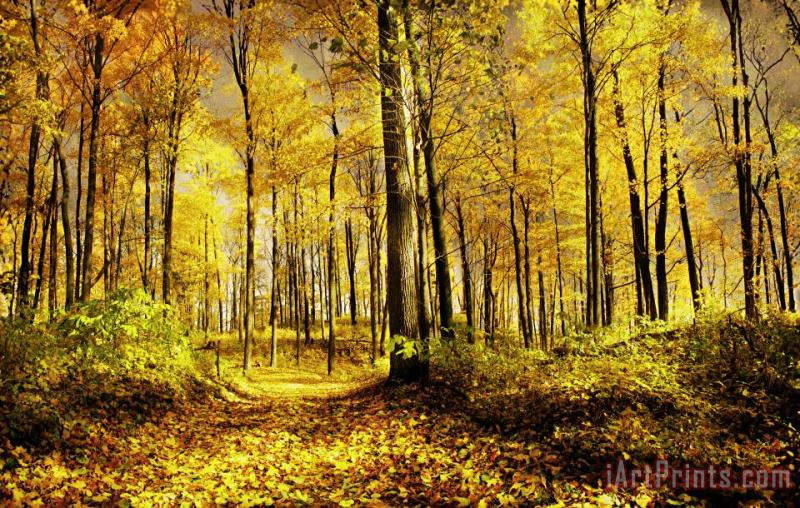 Autumn gold painting - Collection 8 Autumn gold Art Print