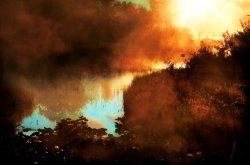 Collection 8 Autumn mist