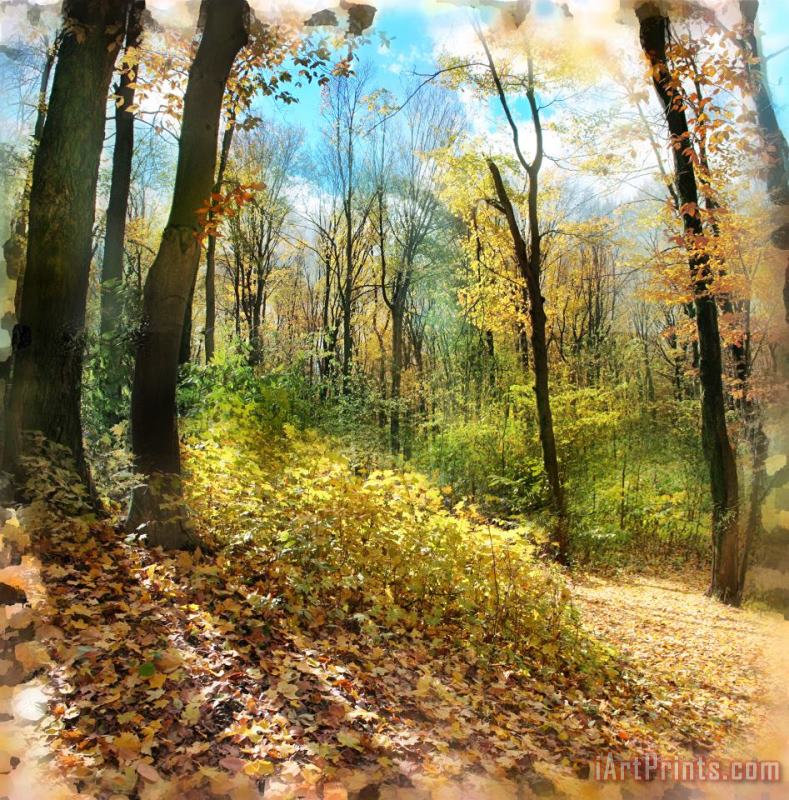 Collection 8 Autumn trail Art Painting