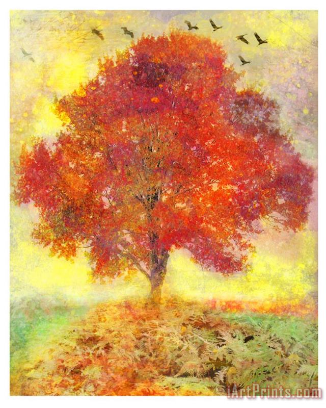 Collection 8 Autumn tree Art Print