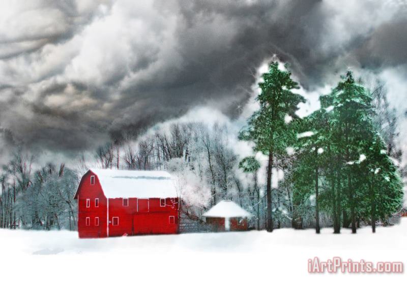 Collection 8 Country winter Art Print