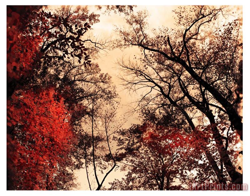 Collection 8 October afternoon Art Print