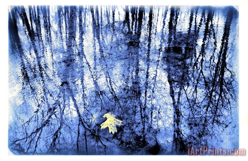 Reflection in blue painting - Collection 8 Reflection in blue Art Print