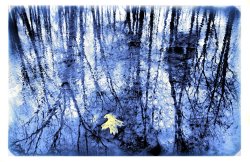 Collection 8 Reflection in blue
