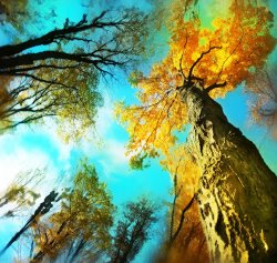 Collection 8 Stepping out