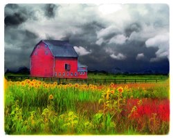 Collection 8 The red barn