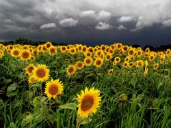 Collection 8 Waiting